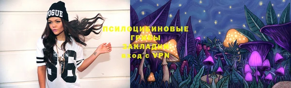 амф Аркадак