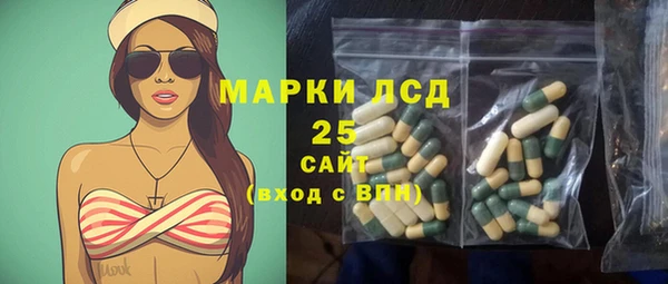 амф Аркадак