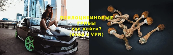 герыч Арсеньев