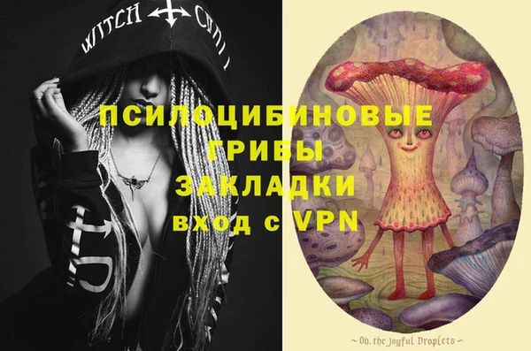 герыч Арсеньев