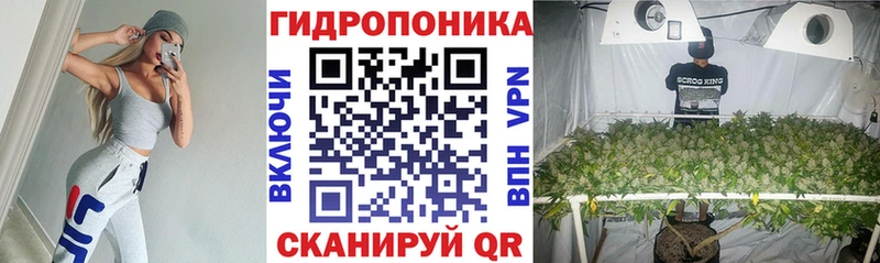 наркота  Суздаль  Канабис конопля 